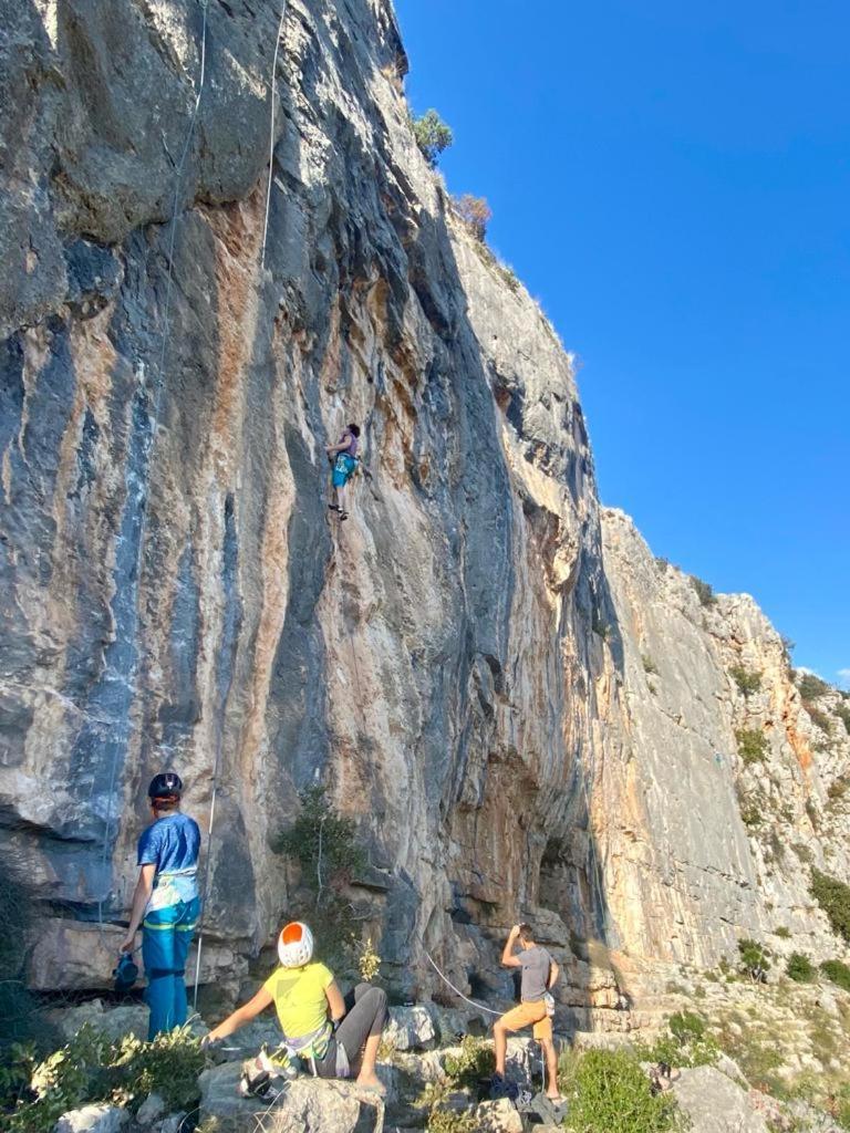 Krka Ivan لازوفاك المظهر الخارجي الصورة